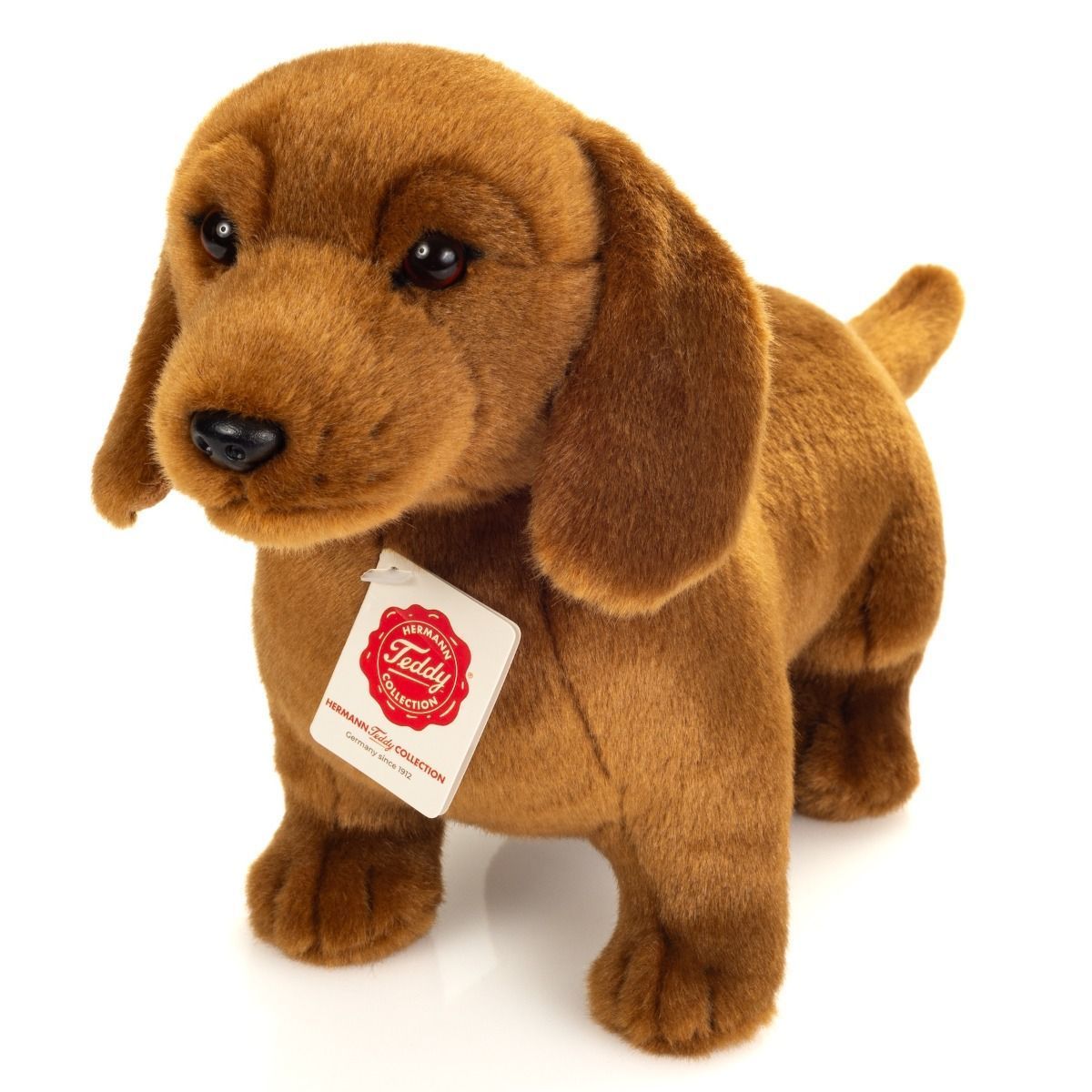 Hund Dackel stehend - Hermann Teddy Hund Dackel stehend - Hermann Teddy