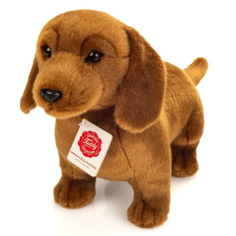 Hund Dackel stehend - Hermann Teddy Hund Dackel stehend - Hermann Teddy