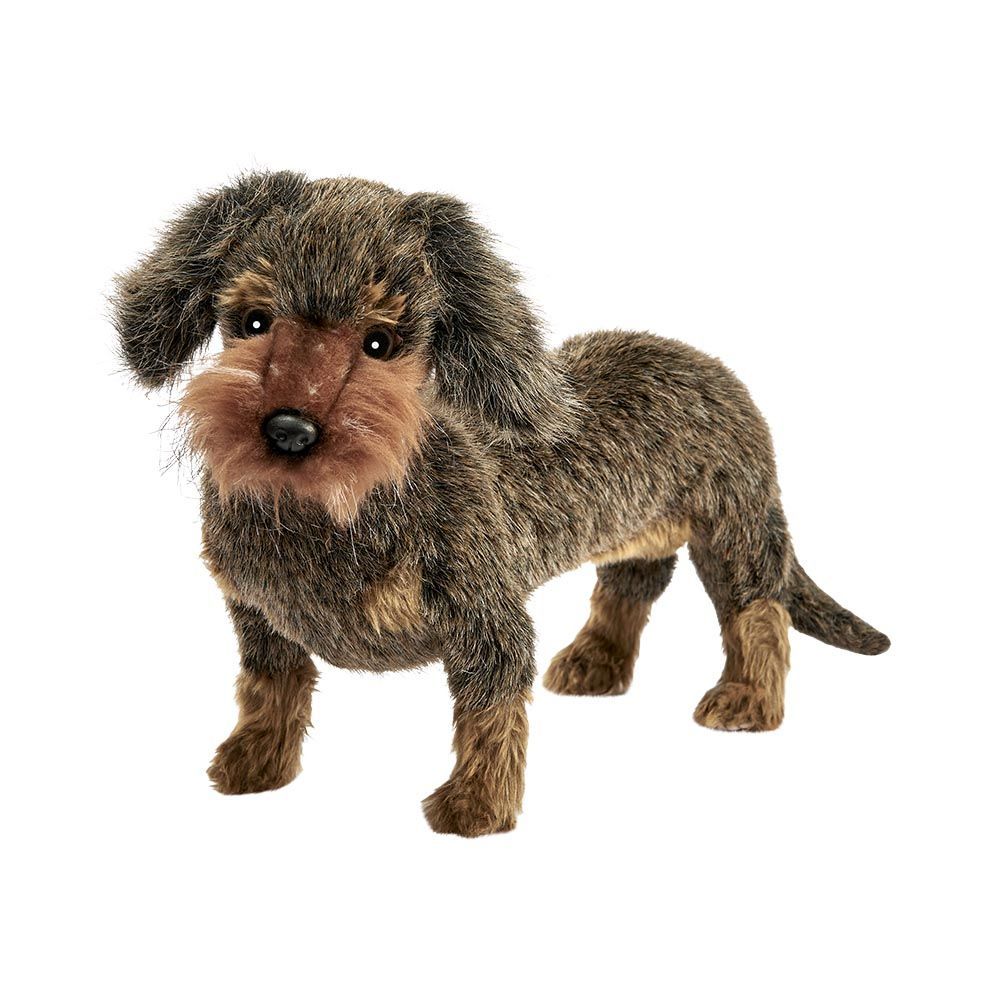 Hund Rauhaardackel - Hansa Creation Hansa Creation Rauhaardackel stehend aus drahtig weichem braun meliertem Plüsch mit charakteristischem Schnauzbart