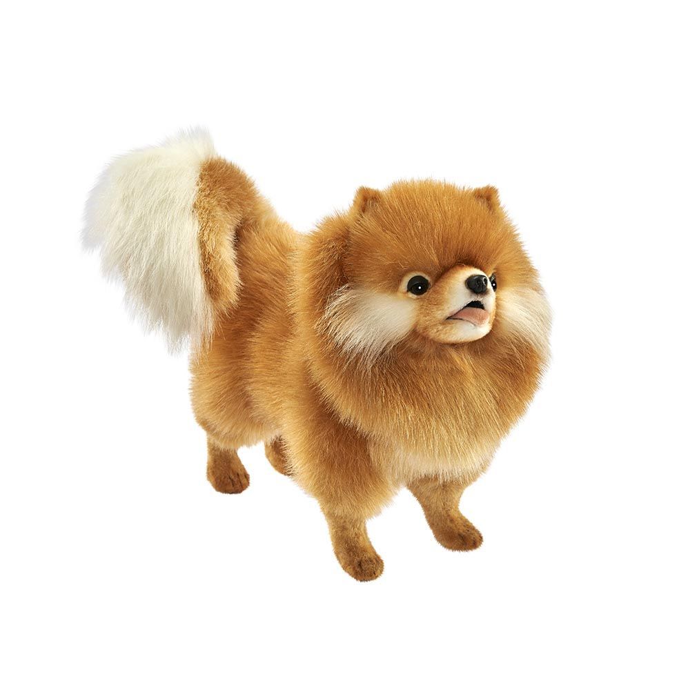 Hund Spitz - Hansa Creation Hansa Creation Spitz Chow-Chow stehend aus dichtem goldbraunem Plüsch mit üppigem Mähnenkragen und buschig Schweif