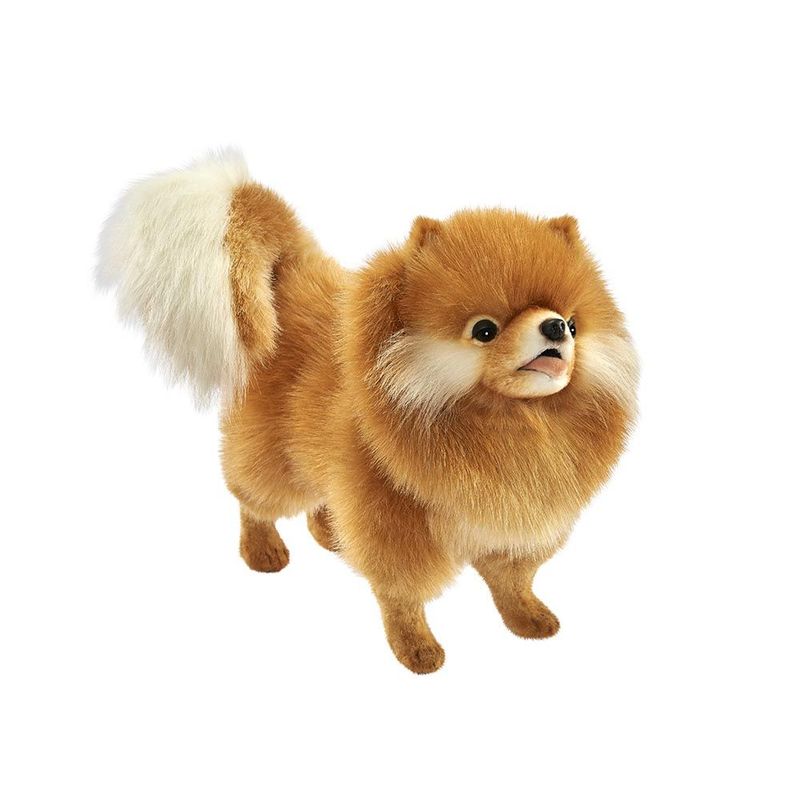 Hansa Creation Spitz Chow-Chow stehend aus dichtem goldbraunem Plüsch mit üppigem Mähnenkragen und buschig Schweif