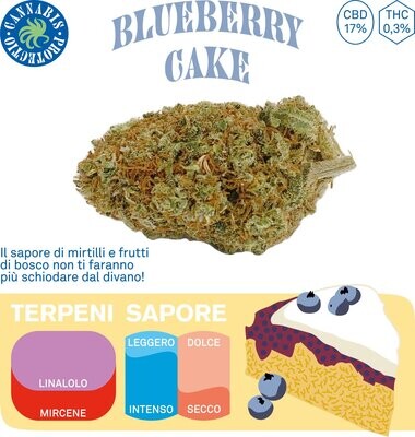 BLUEBERRY CAKE