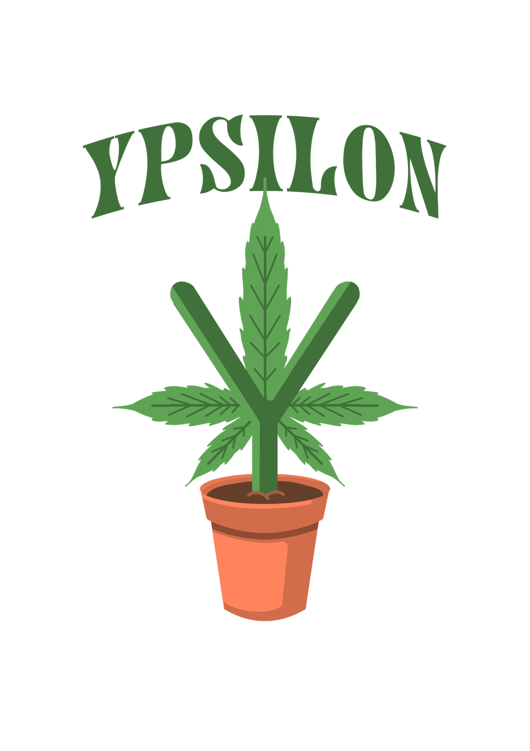 Y Y