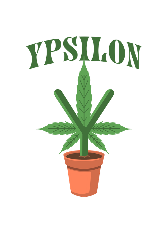 Y