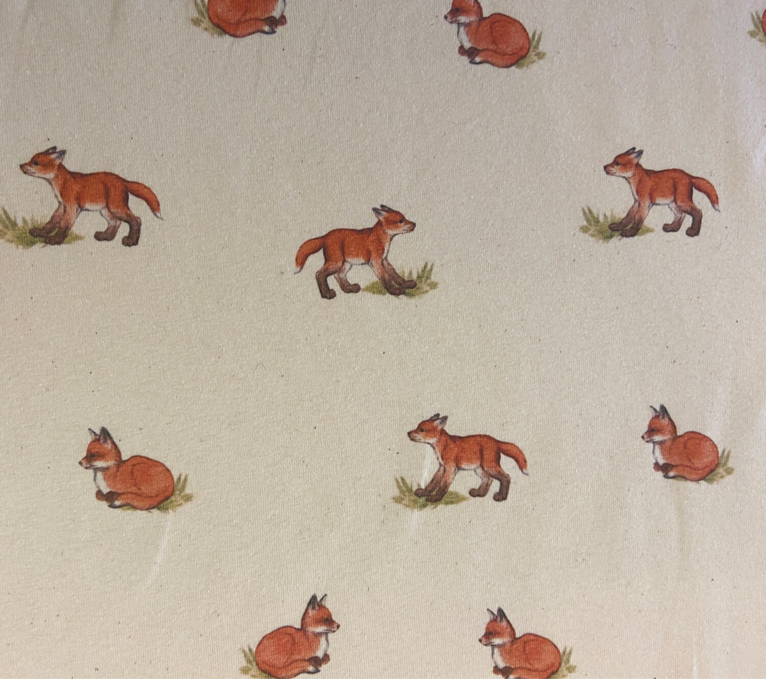 Jersey Fuchs