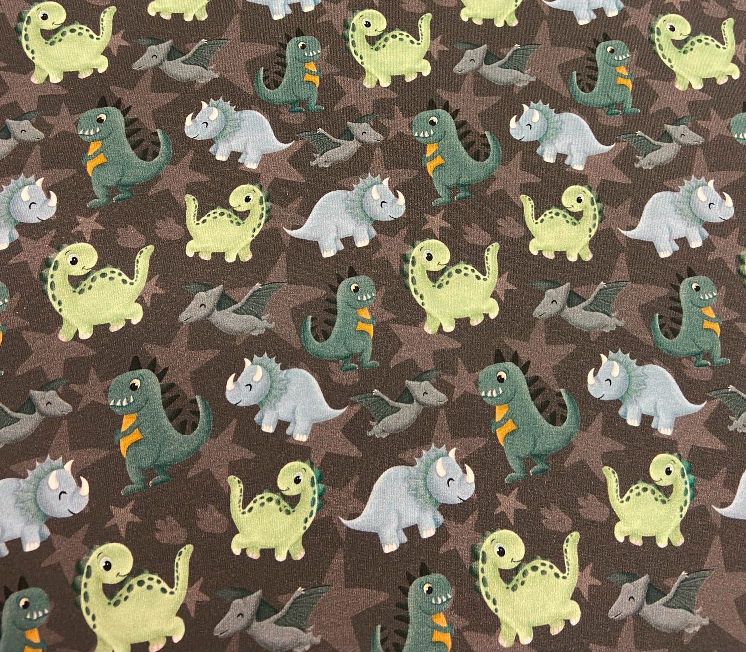 Hilco Sommersweat Dino Wonderland / Dinos / Dinosaurier