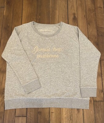 Le sweat loose gris brodé beige doré