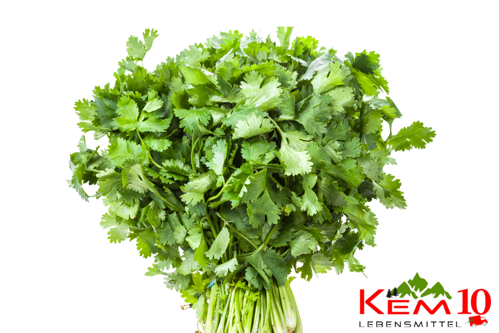 Frischer Koriander-Bund) 150g