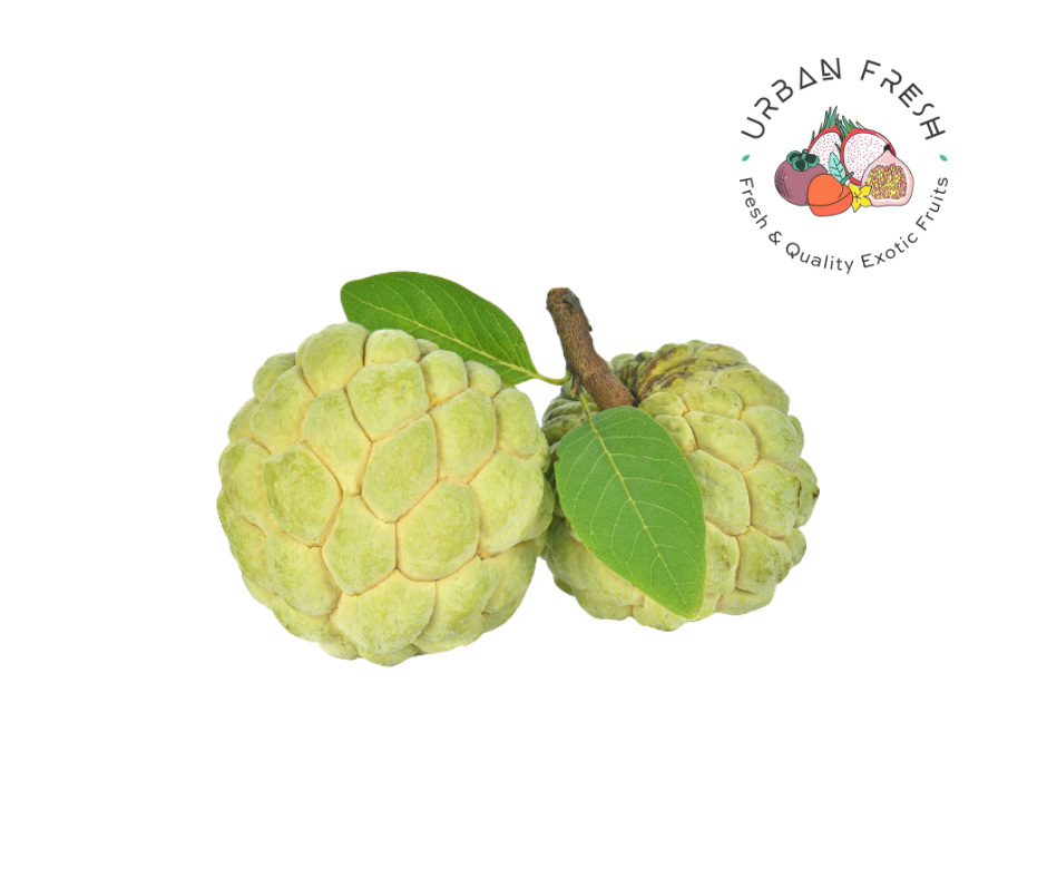 Golden Custard (1 Kg)
