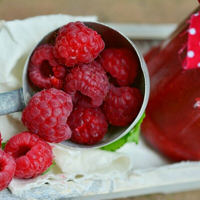 Fruchtaufstriche aus Wildfrüchten