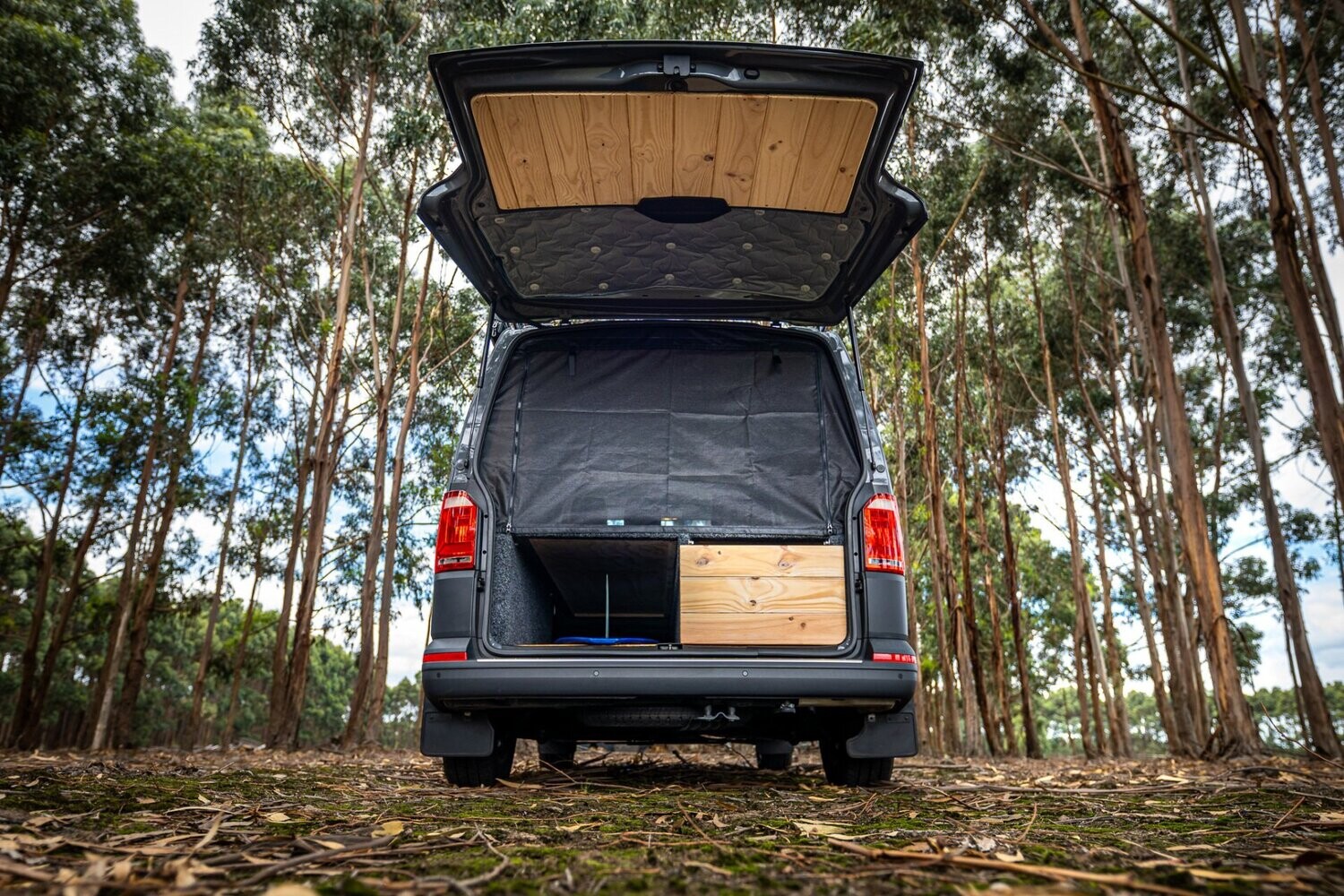 VW T5/T6/6.1 Tailgate fly screen