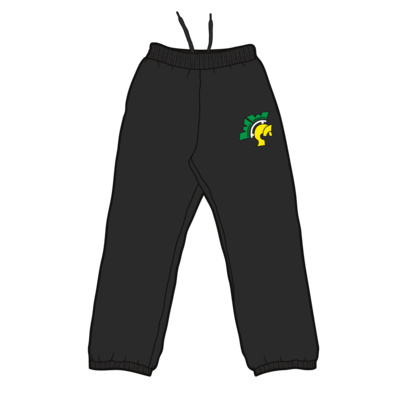 warriors sweatpants