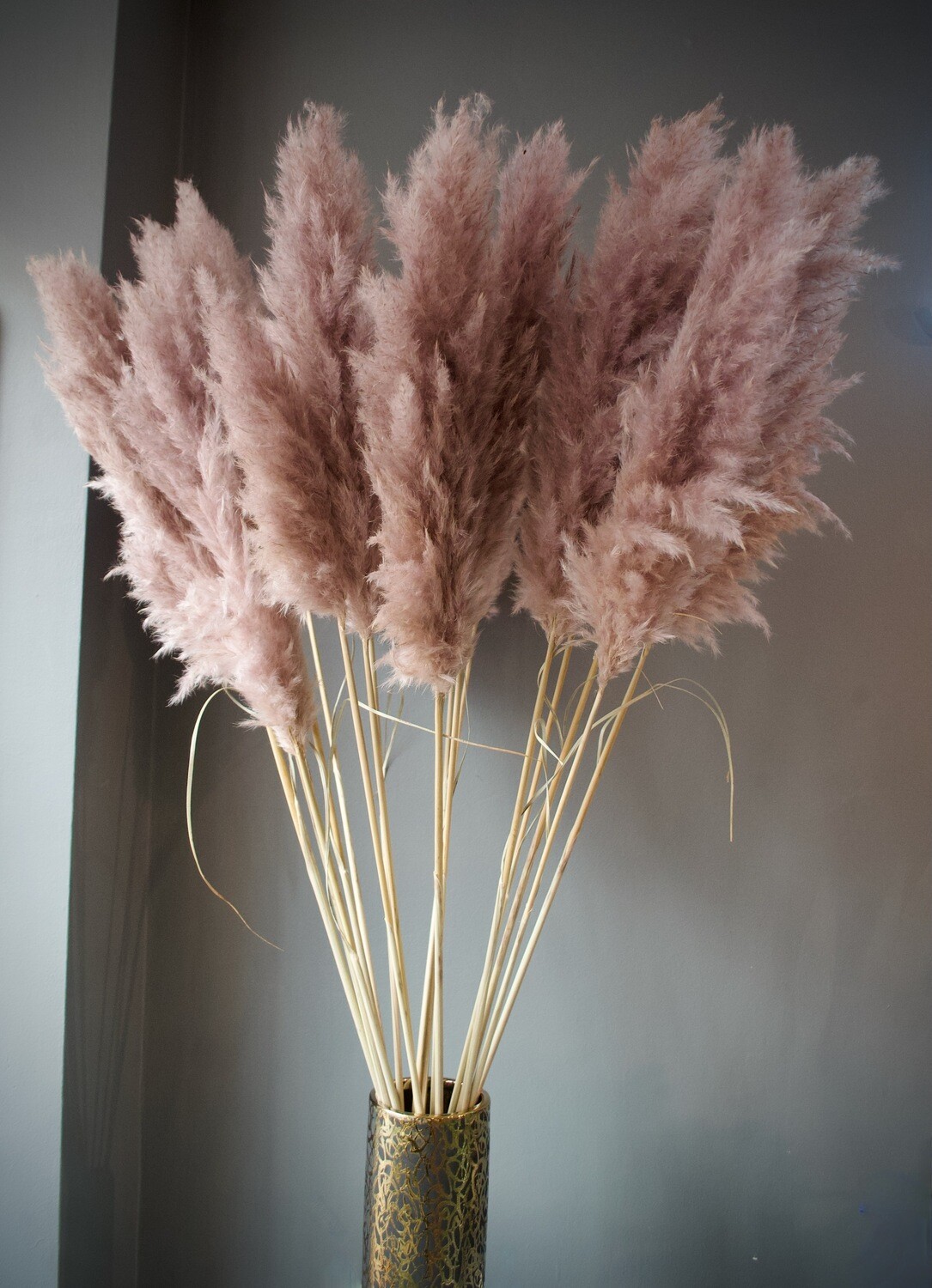 Dusky Aubergine Pampas Grass