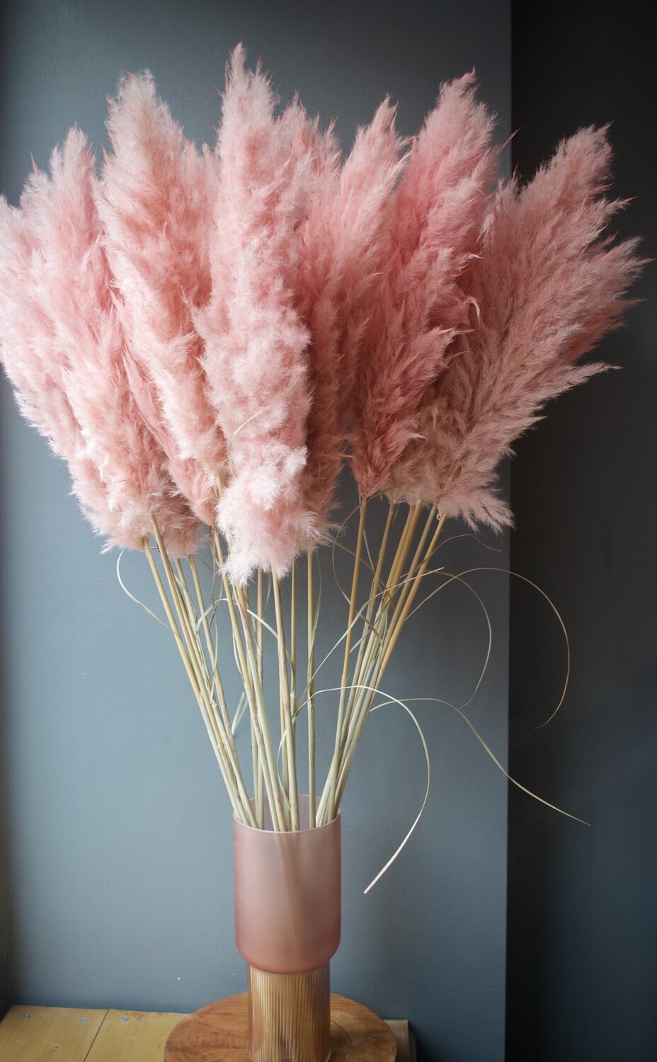 Soft Pink Pampas Grass