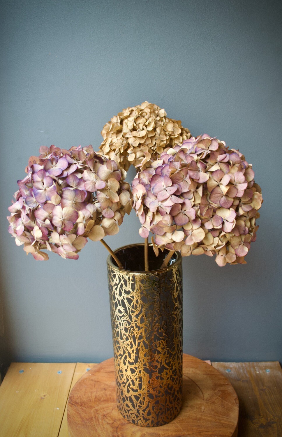 Dried Hydrangeas
