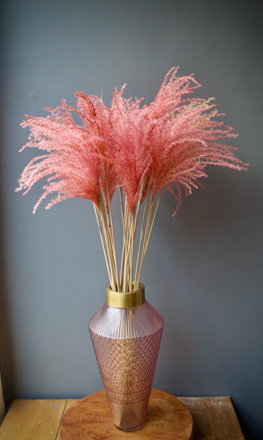 Pink Feather Grass