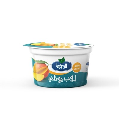 Greek yogurt mango - روب يوناني بقطع المانغو