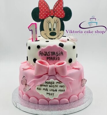 Minnie Mouse Disney 3D 1 first Birthday cake  Pink   Egg free sponge