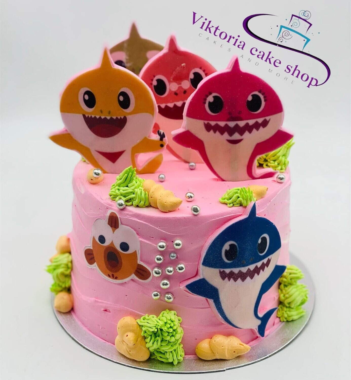 Baby Shark Cake theme egg free base, Base  Color: Pink  Base