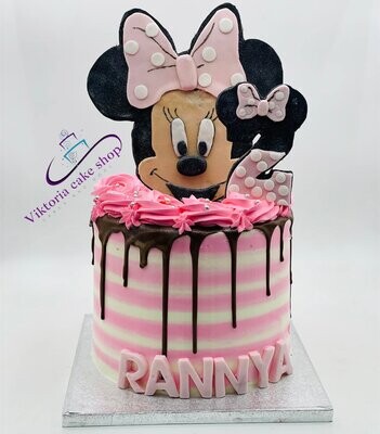 MINNIE  MOUSE  CAKE   Birthday cake   Egg free sponge