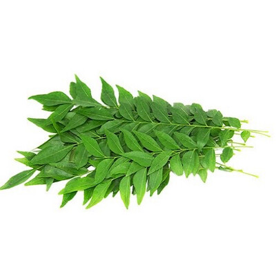 FRESH CURRY LEAVES 25GM (Delivery in BRUSSELS, GENT, ANTWERPEN & MECHELEN ONLY!)
