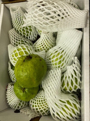 FRESH INDIAN GUAVA 300GM-400GM (Delivery in BRUSSELS, GENT, ANTWERPEN & MECHELEN ONLY!)