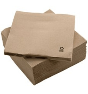 Servilleta Recycled 100 % 20x20 2 c. Eco-Nat. CAJA 6.000 UDS