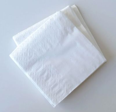 Servilleta 30x30 BLANCA CARICIAS 2 C. Caja 4.000 uds