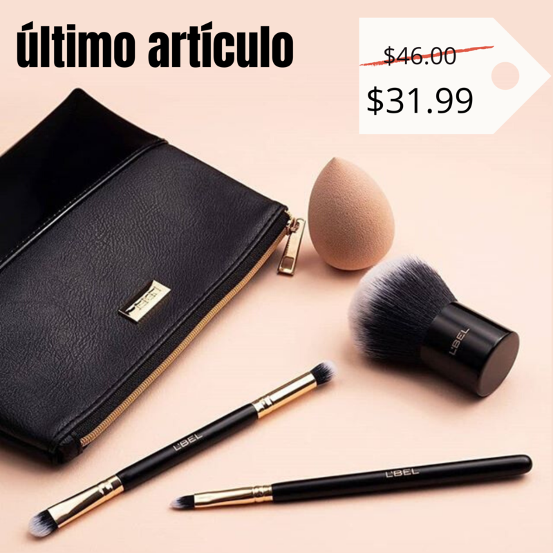 Set de brochas + estuche