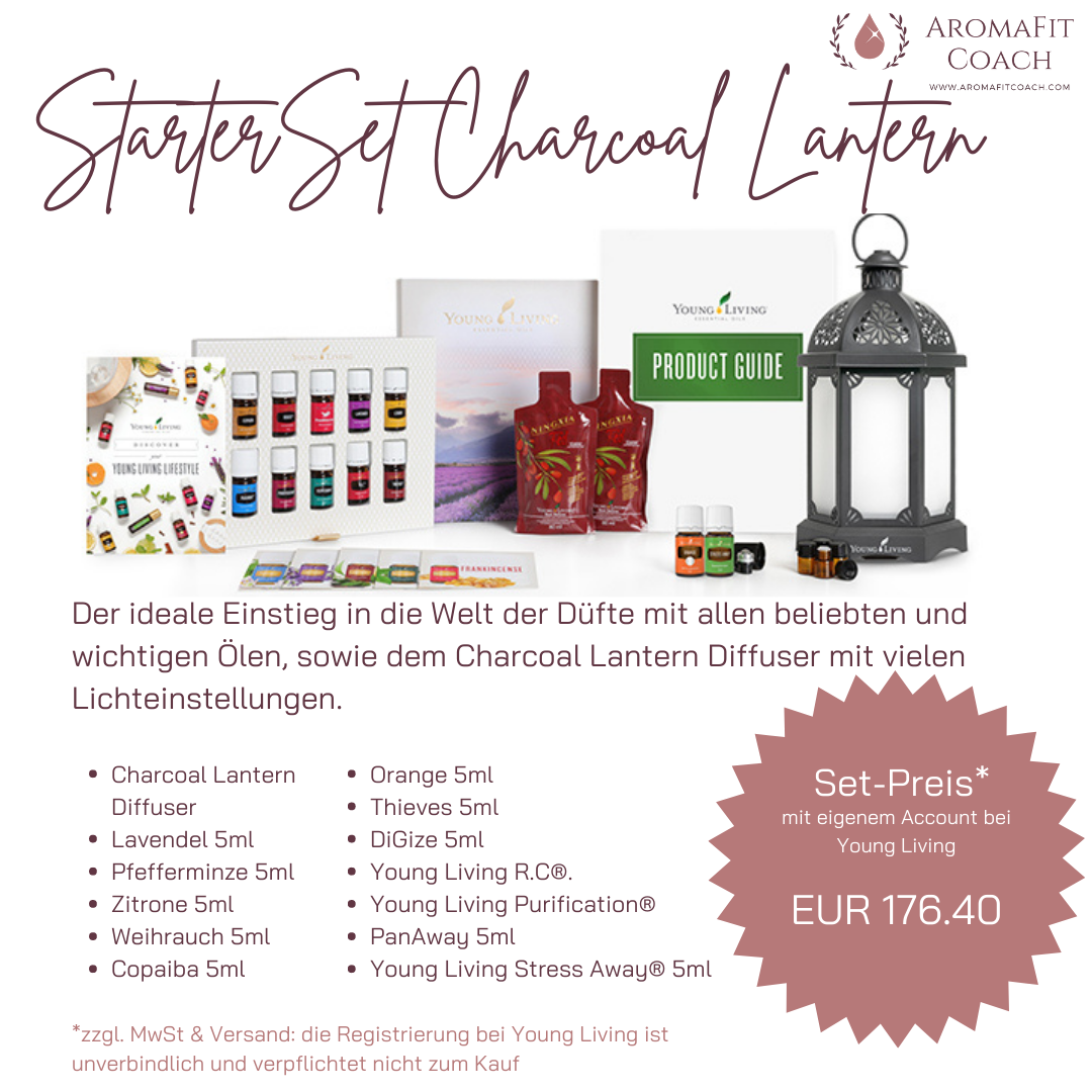 StarterSet Charcoal Lantern von Young Living®