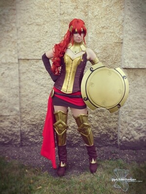 Cosplay Samples &amp; Props