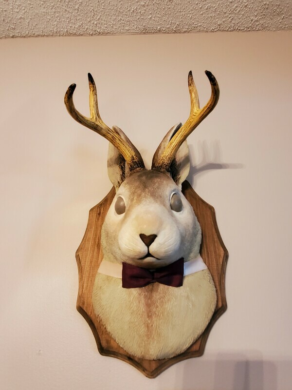 jackalope faux taxidermy