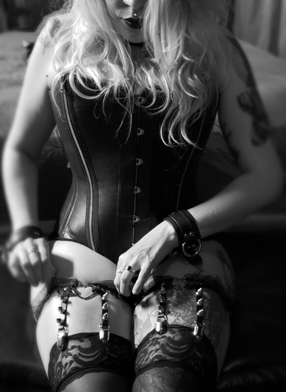 Leather zipper Pointe overbust