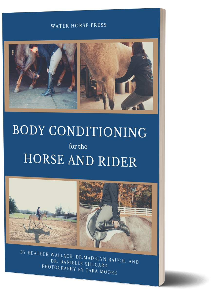 Body Conditioning for the Horse and Rider (Paperback)