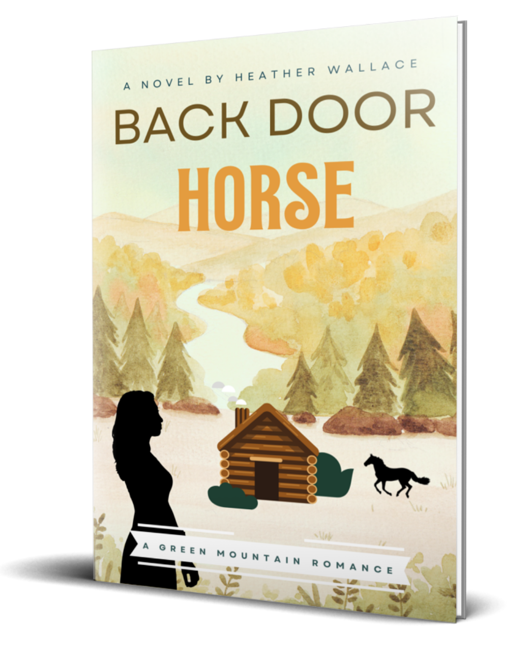 Back Door Horse (Paperback)