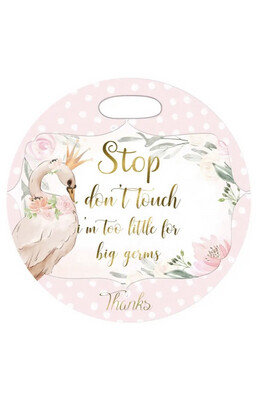 Baby Girl Princess Swan Don't Touch Car Carrier Sign