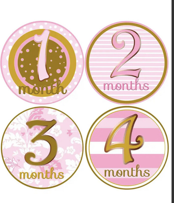 Blush Pink And Gold Baby Girl Month Stickers