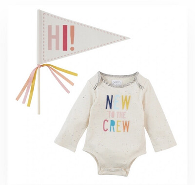 Pink New To The Crew Crawler & Pennant Set (0-6 Months)