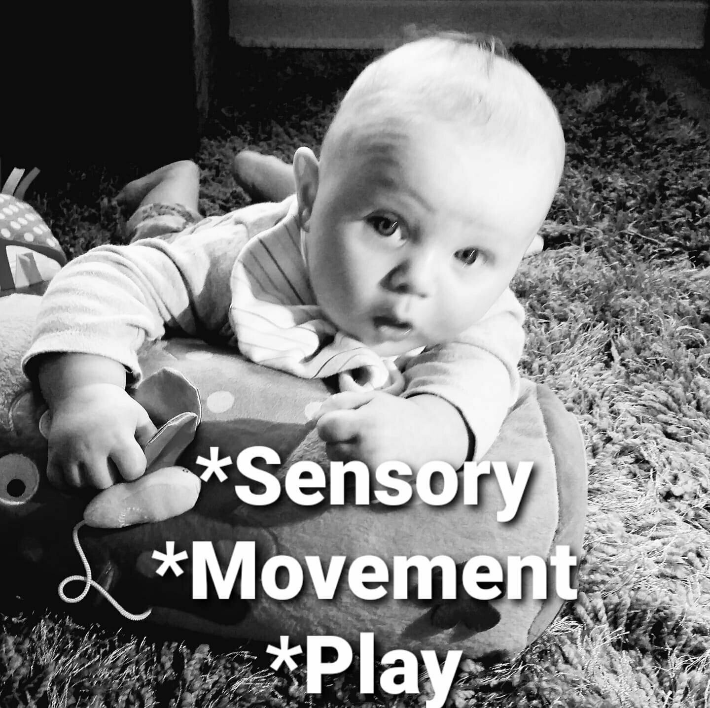 TUESDAY 16 August 9.30am to 10.30am Baby Senses by Tots Loquentes. Babies 6 weeks old, pre-crawling to newly crawling babies. INDOORS PAYG.