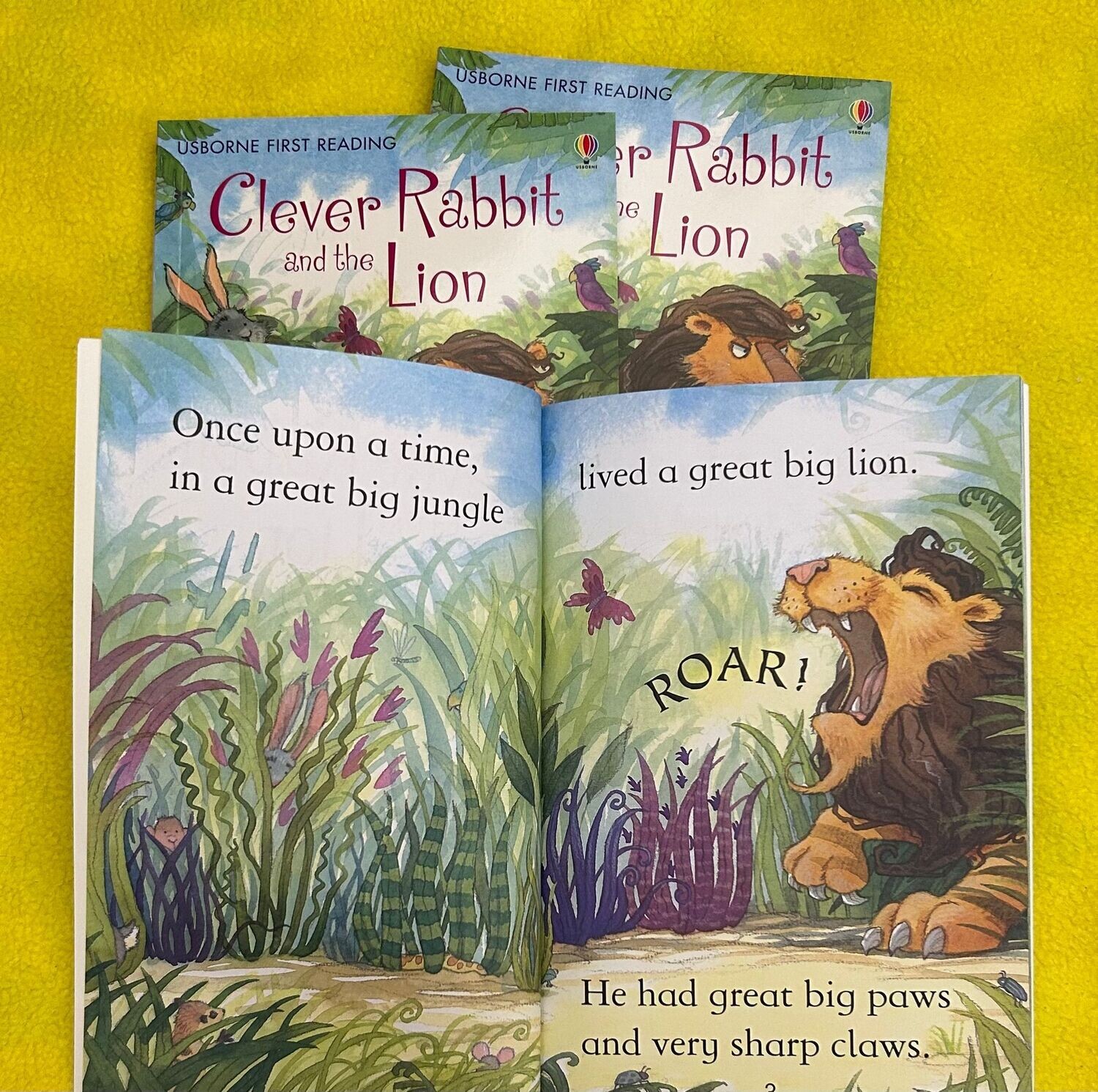 Clever Rabbit and the Lion - included in session price