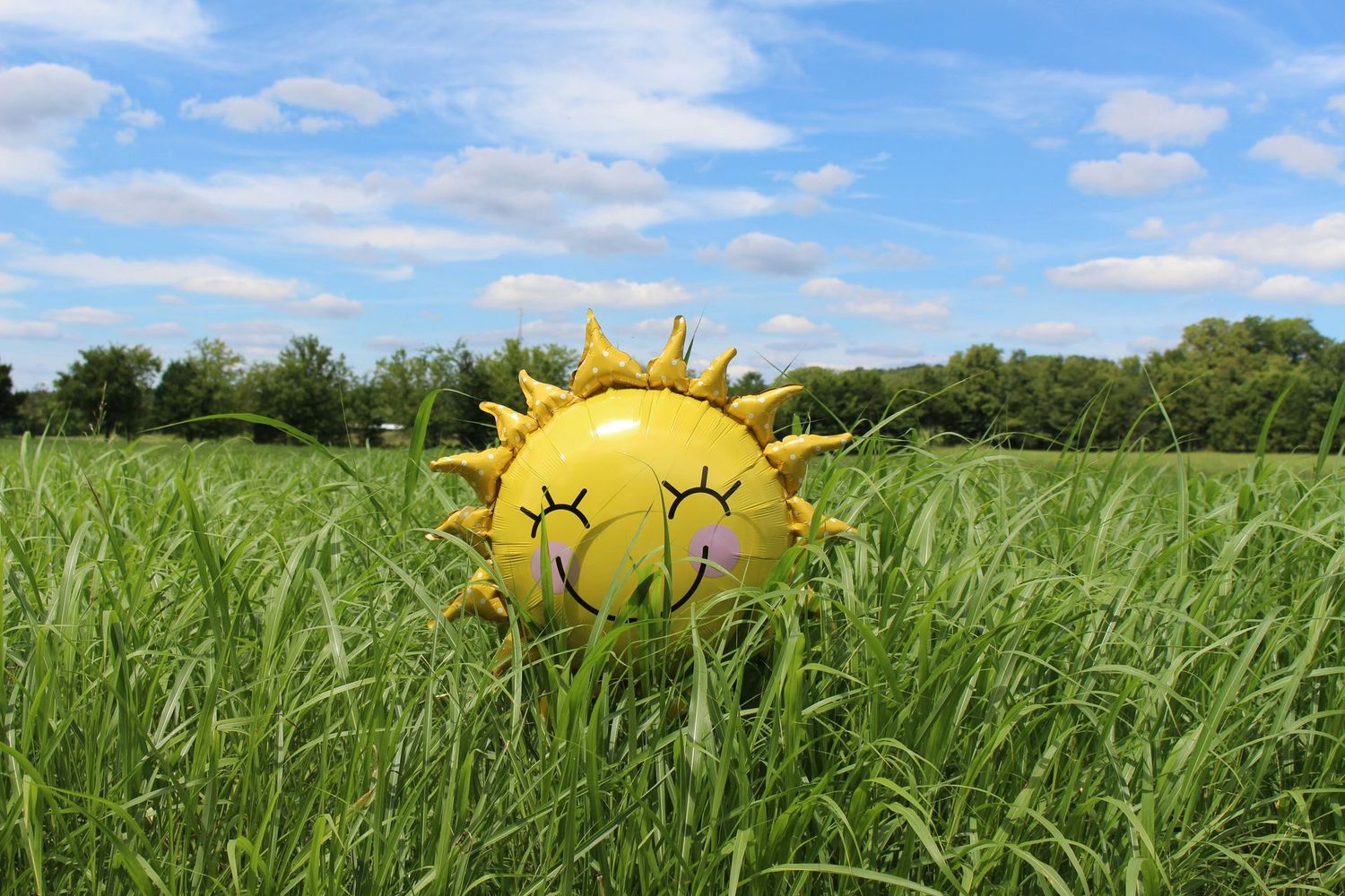 2025 Summer School for under 5s August 08:00 to 16:00