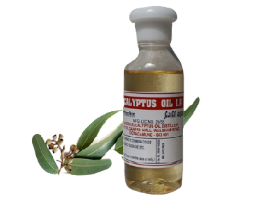 Eucalyptus Oil (100 ml)