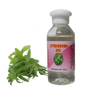 Citriodora Oil (100 ml)