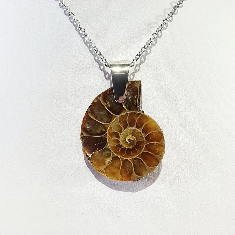 Ammonite Fossil pendant