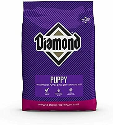 Diamond Puppy