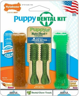 Nylabone Dental Pack Puppy toys 4pc