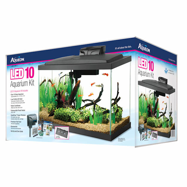 Aqueon 10 gallon Basic Aquarium Kit