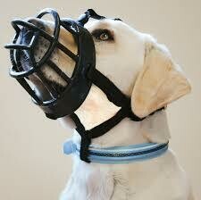  Baskerville Ultra Dog Muzzle, Black