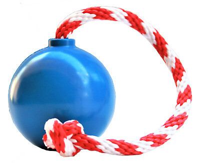 Usa k9 Cherry Bomb Medium Blue