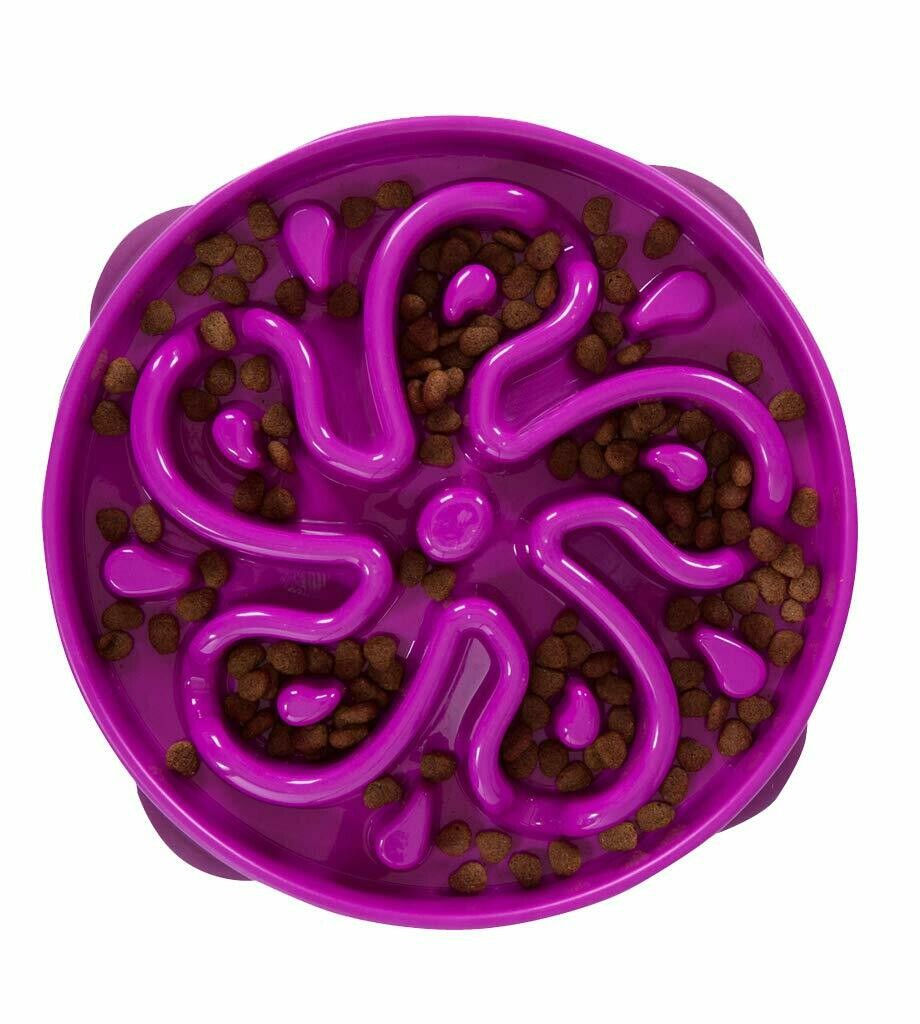 Fun Feeder Purple Large Bowl